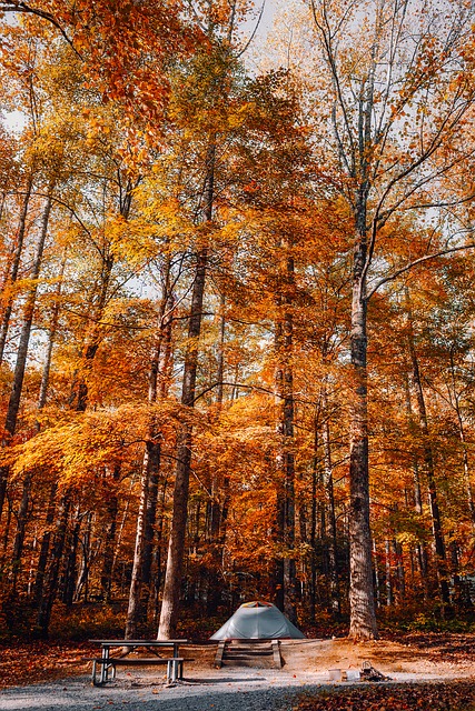 does camping appeal to you heres some helpful hints for a great trip