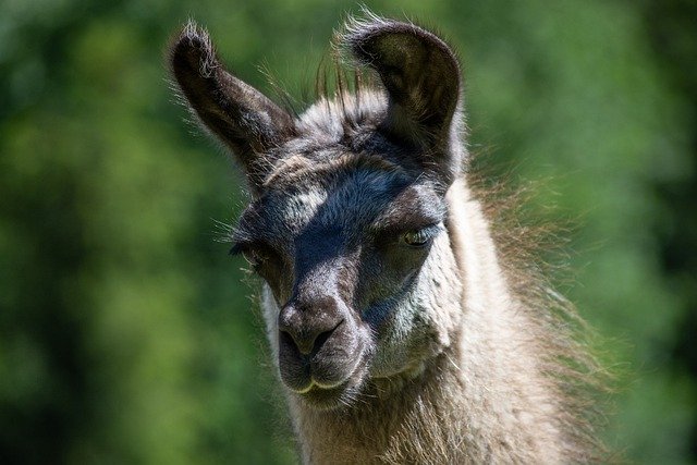 improving your photography skills to get the pictures you want