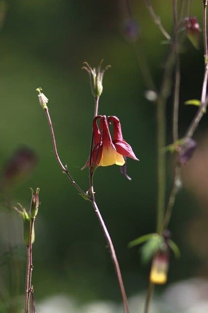 everything you need to know about online shopping