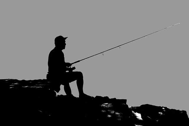 land bigger fish with these great tips