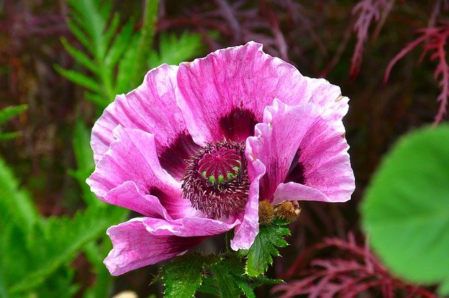 Tips To Make You A Better Gardener 1 tips to make you a better gardener
