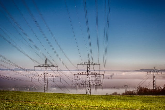 small things you can do to live green