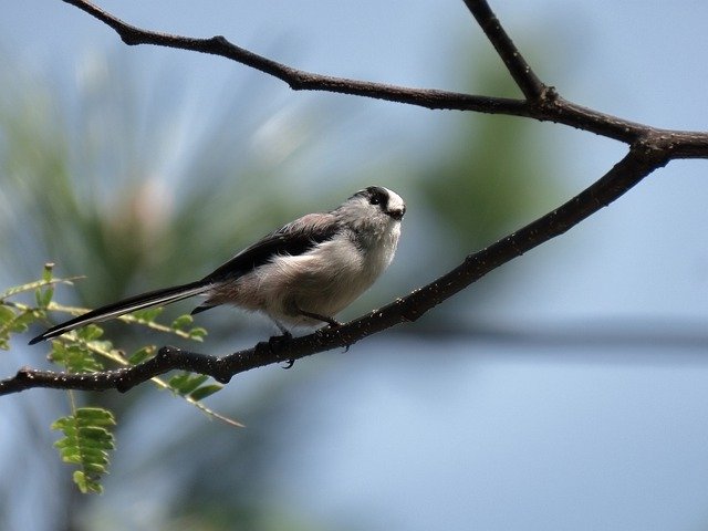 why should i care about green energy sources