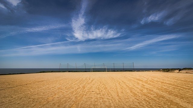 all you wanted to know about soccer
