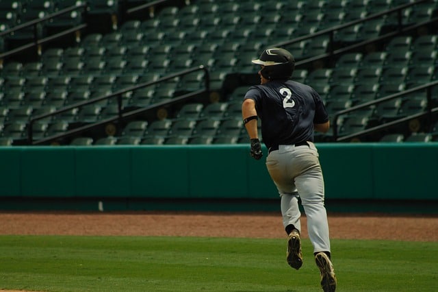 everything you have always wanted to know about baseball