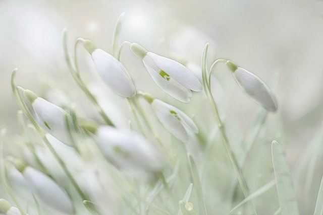 Gardening Tips You Should Make Note Of 1 gardening tips you should make note of