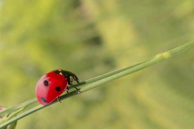 get rid of the bugs with these tips