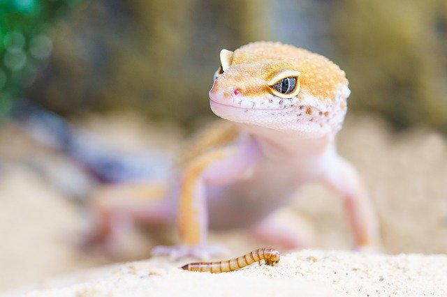 Excellent Tips For Making The Most Of Photography 1