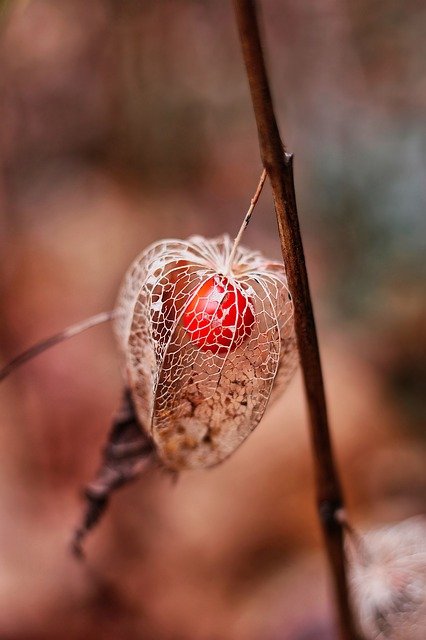 the biggest compilation of tips and tricks about vitamins you can find