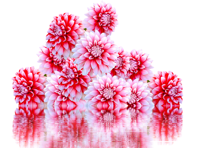 these jewelry answers allow you to avoid the hurdles that others face