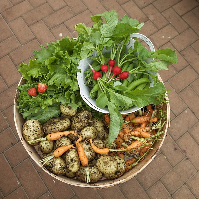 what you need to learn about organic gardening