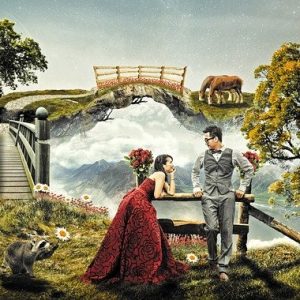 create the wedding of your dreams by following this great advice