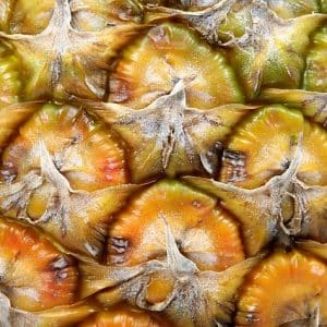 diet your way to happiness and success