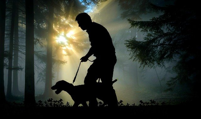 If Your Pet Is A Dog You Can't Miss This 1 if your pet is a dog you cant miss this