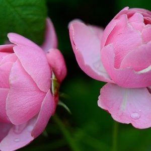 solid advice so you can have a beautiful wedding