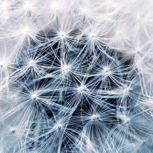 before you shoot a camera try this advice