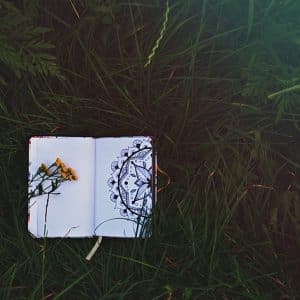 green energy tips that truly make a difference