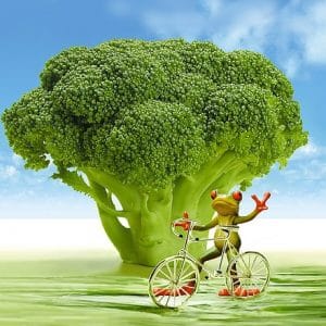 this weight loss advice will help you reach your goals