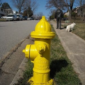 valuable tips about repairing your homes plumbing