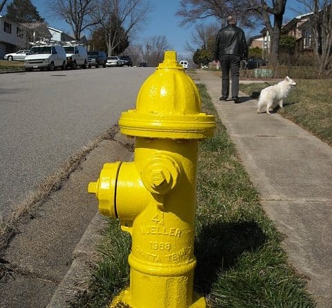 valuable tips about repairing your homes plumbing