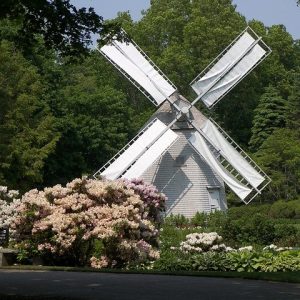 where to find the best green energy products and information