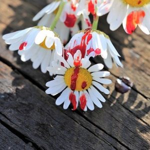 lose that stress now with these helpful ideas