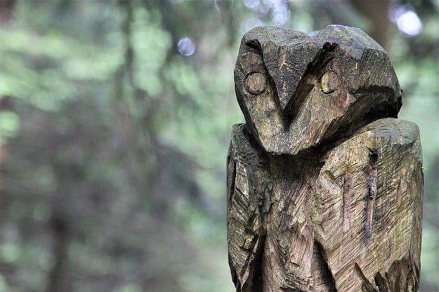 round up some arts and crafts advice here