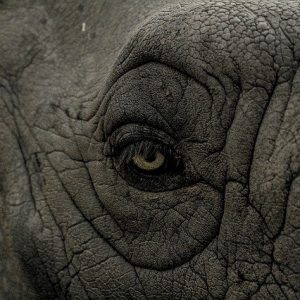 take better pictures read this photography guide