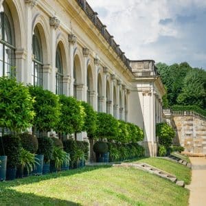 tips to make your garden more beautiful