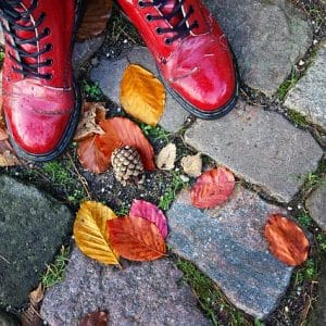 want shoe information if so this is for you