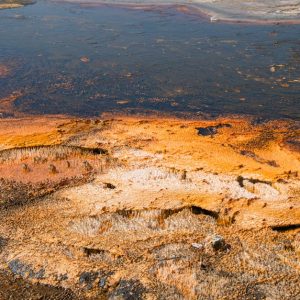 pexels photo 10026318 7